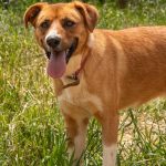 Photo: Julie P. – Artiste Photographe