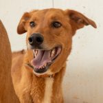 Photo: Julie P. – Artiste Photographe