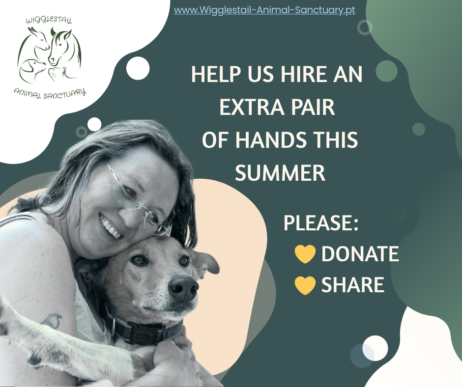 Urgent Appeal: A Second Pair of Hands